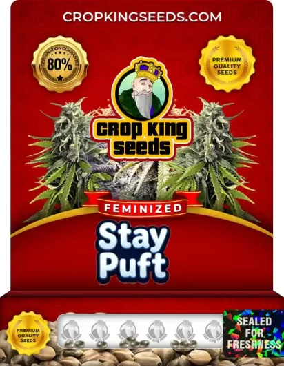 stay-puft-image