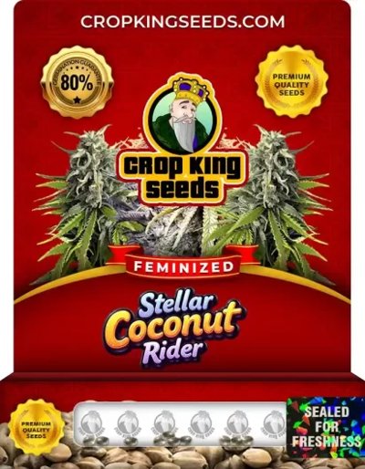 Stellar Coconut Rider