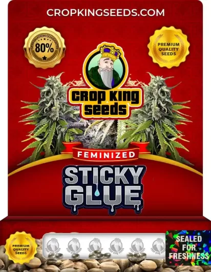 sticky-glue-image