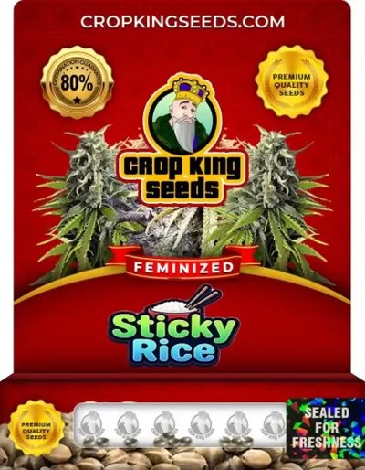 Sticky Rice