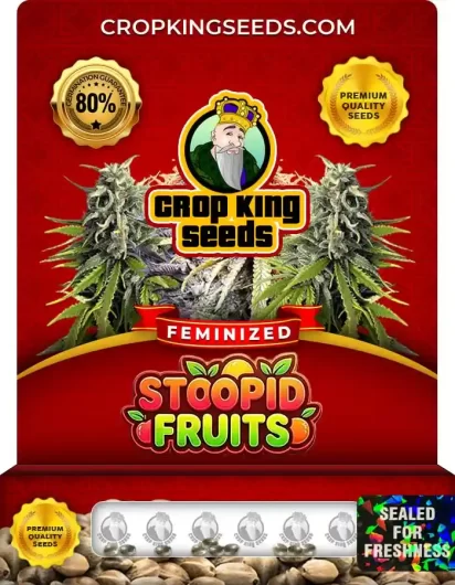 stoopid-fruits-image