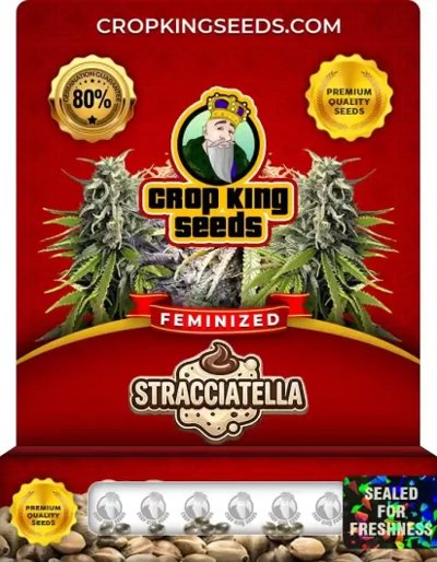 Stracciatella