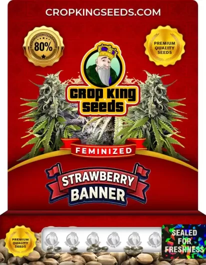 strawberry-banner-image