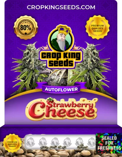 strawberry-cheese-autoflower-image