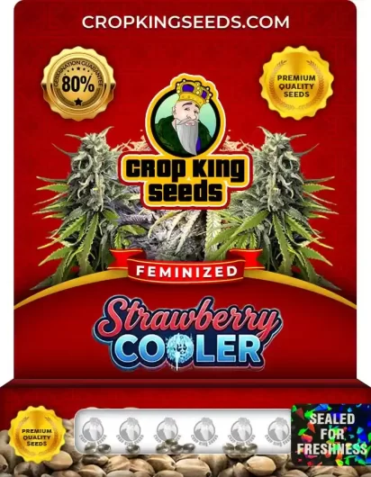strawberry-cooler-image