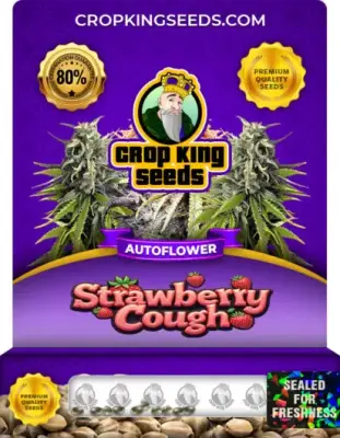 Strawberry Cough Autoflower