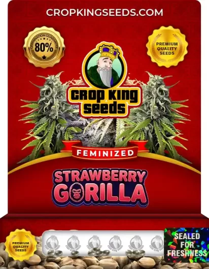 strawberry-gorilla-image