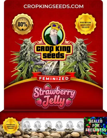 strawberry-jelly-image