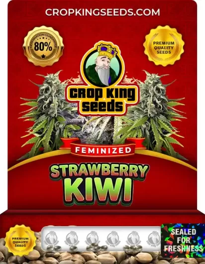 strawberry-kiwi-image
