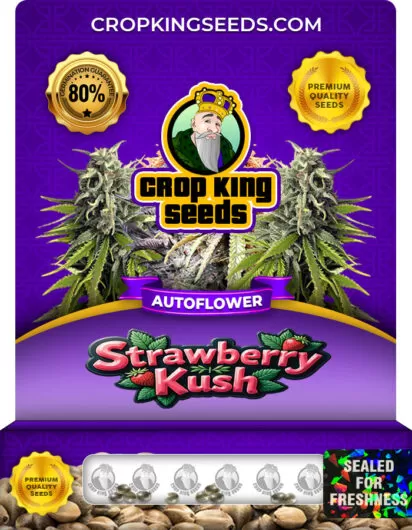 strawberry-kush-autoflower-image