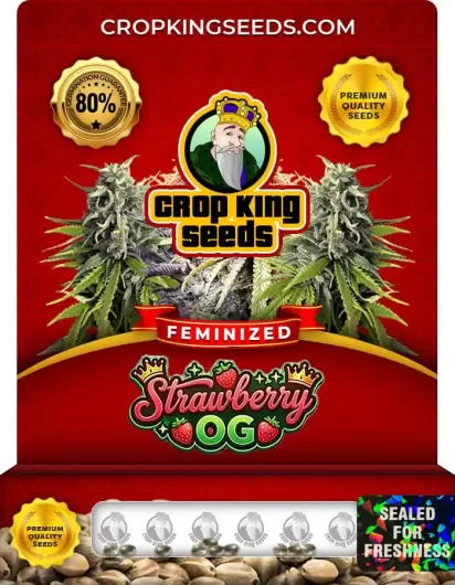 strawberry-og-image