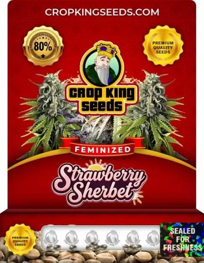 Strawberry Sherbet