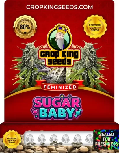 sugar-baby-image