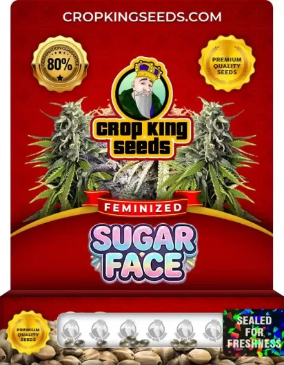 sugar-face-image