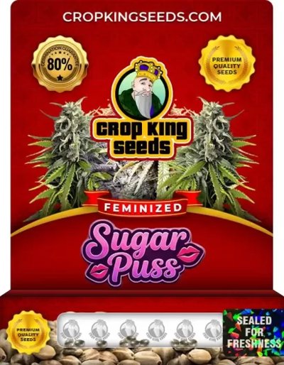 Sugar Puss