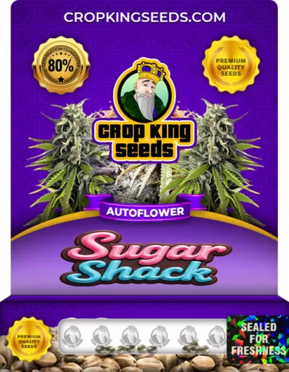 sugar-shack-autoflower-image