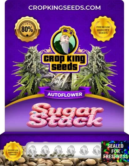 sugar-stack-autoflower-image