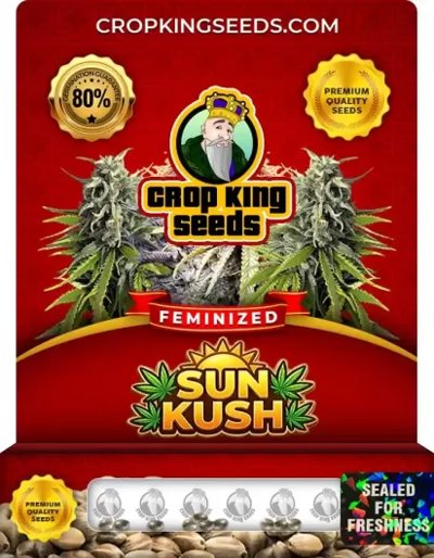 Sun Kush