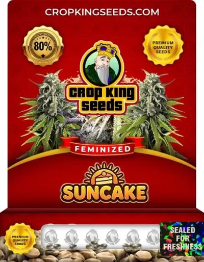 Suncake