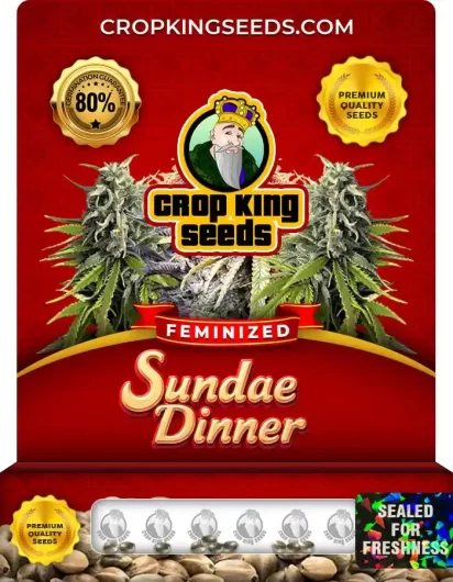 sundae-dinner-image