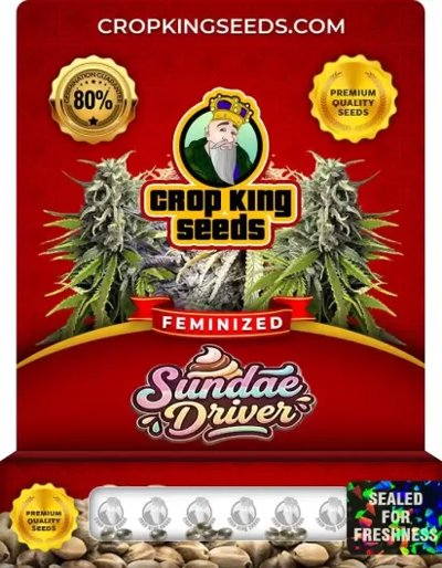 Sundae Driver