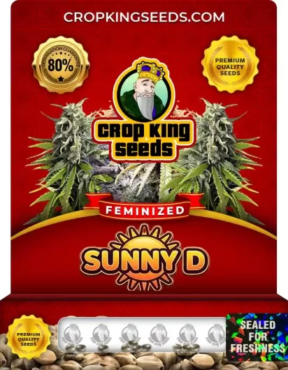 sunny-d-image