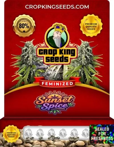 Sunset Spice