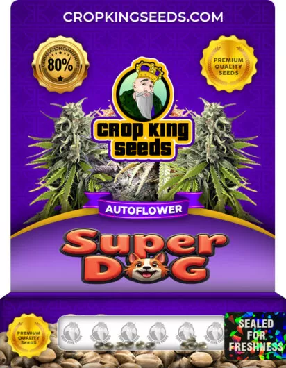 super-dog-autoflower-image
