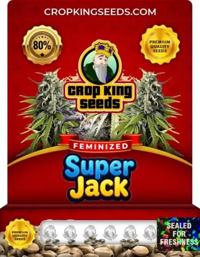 Super Jack
