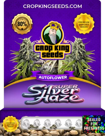 super-silver-haze-autoflower-image