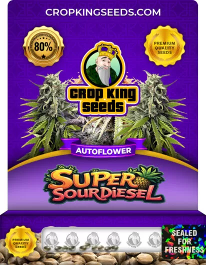 super-sour-diesel-autoflower-image