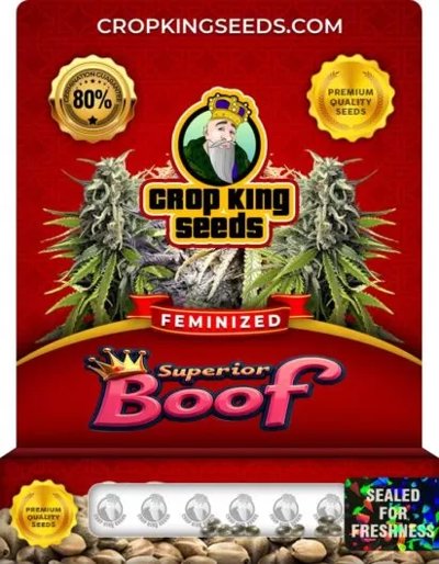 Superior Boof