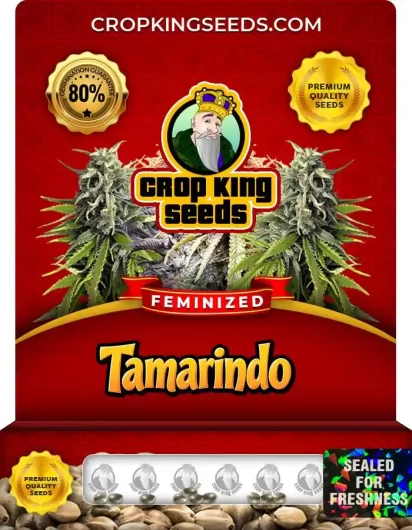 tamarindo-image