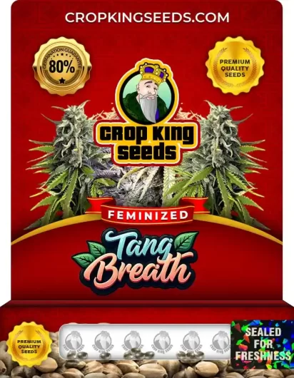 tang-breath-image