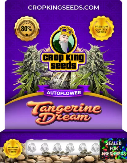 tangerine-dream-autoflower-image