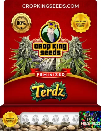 terdz-image