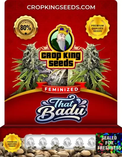 that-badu-image
