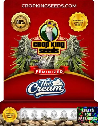 The Cream
