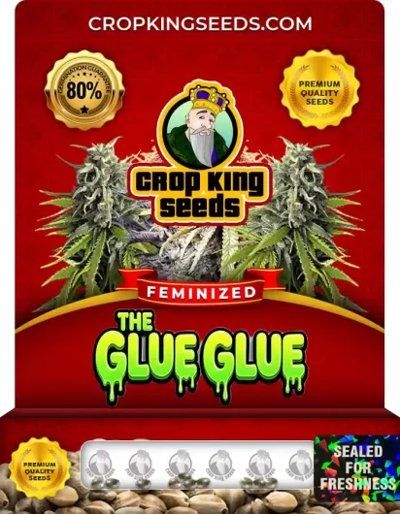 The Glue Glue