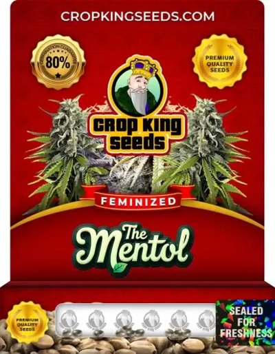 The Menthol