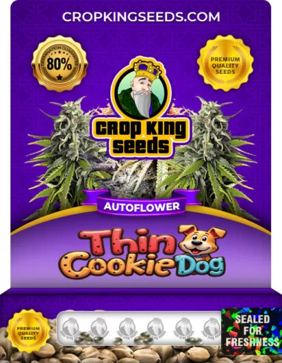 thin-cookie-dog-autoflower-image