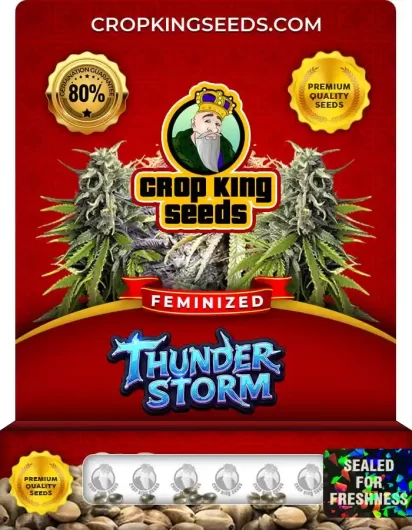 thunder-storm-image