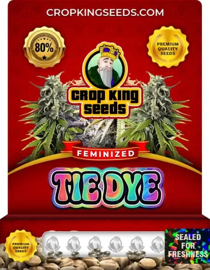 tie-dye-image