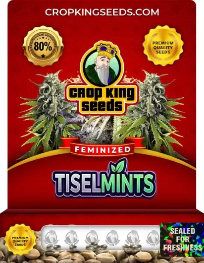 tiselmints-image