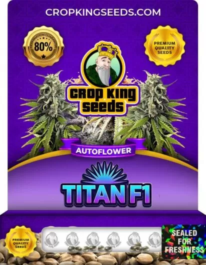 titan-f1-autoflower-image