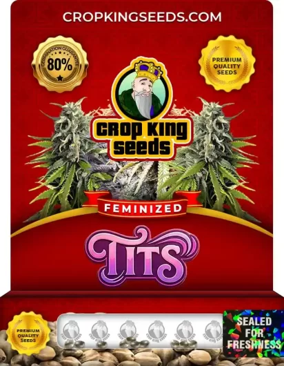 tits-image
