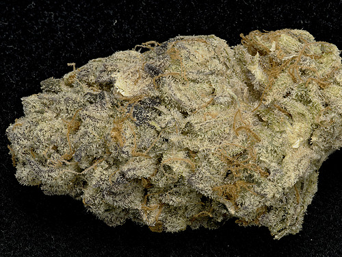 purple-punch-image