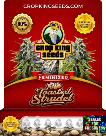 toasted-strudel-image