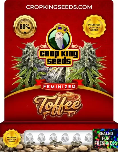 toffee-image