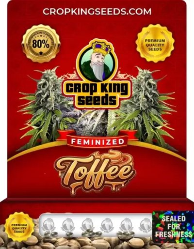 Toffee